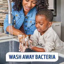 Softsoap Antibacterial Kitchen Fresh Hands Soap (04206)