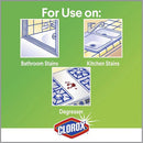 Clorox Disinfectant Cleaner with Bleach (35420PL)