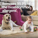 Clorox (01594)